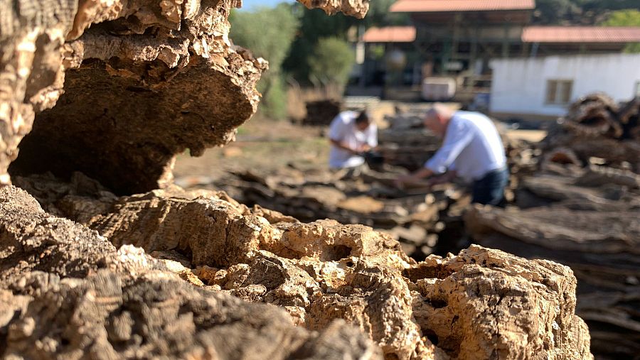 Cooperativa corchera San José en Berrocal, Huelva