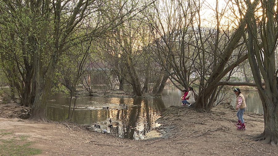 El río Arlanzón es un corredor biológico en pleno centro de la ciudad