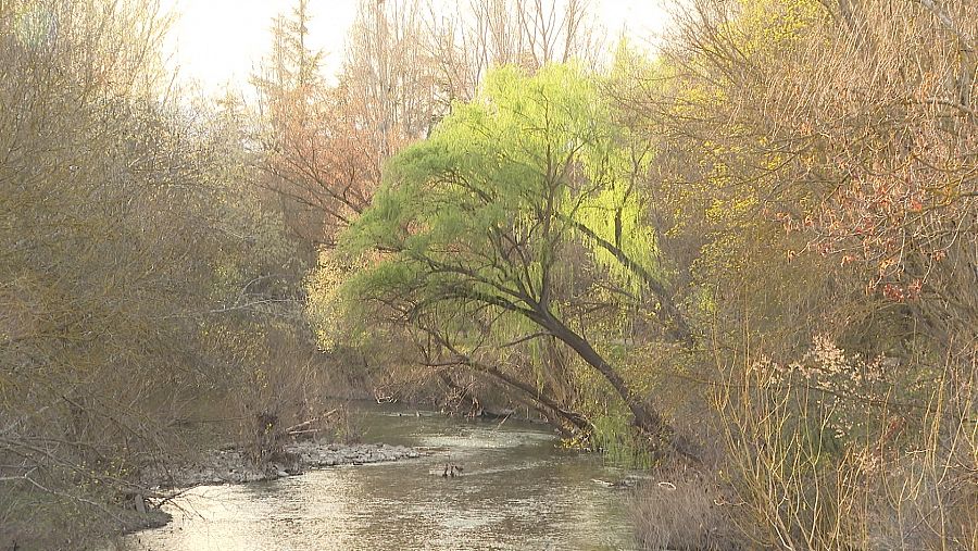 El río Arlanzón es como un río de montaña en medio de la ciudad