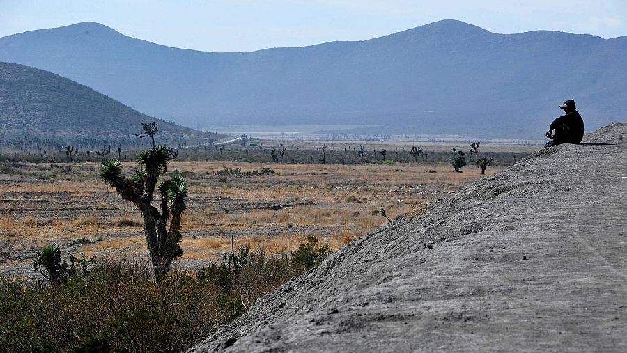 La deforestación en México registra un promedio anual de 127.800 hectáreas