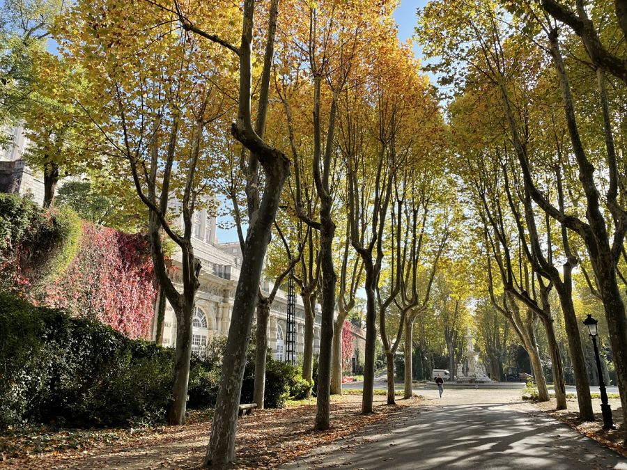 Desde la entrada al Campo del Moro ya intuimos que la naturaleza nos envolverá en nuestro paseo