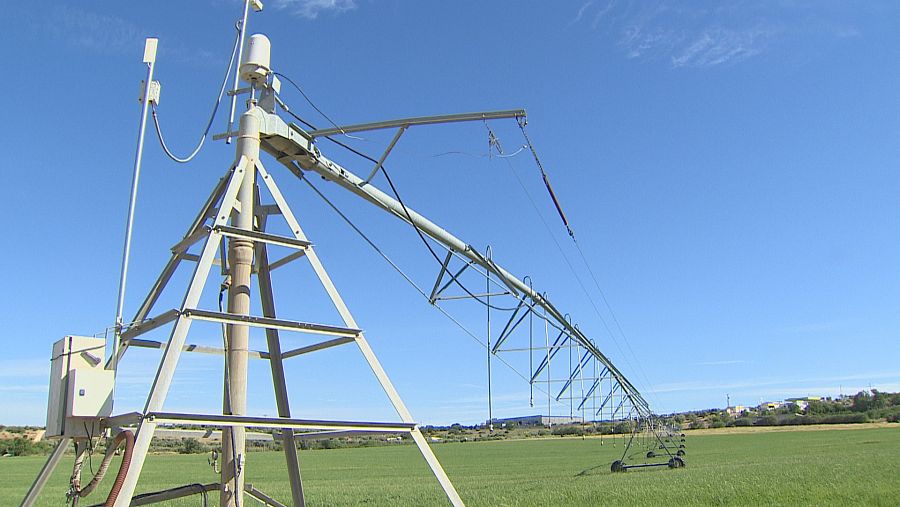Campos sembrados de alfalfa en Cebolla (Toledo)