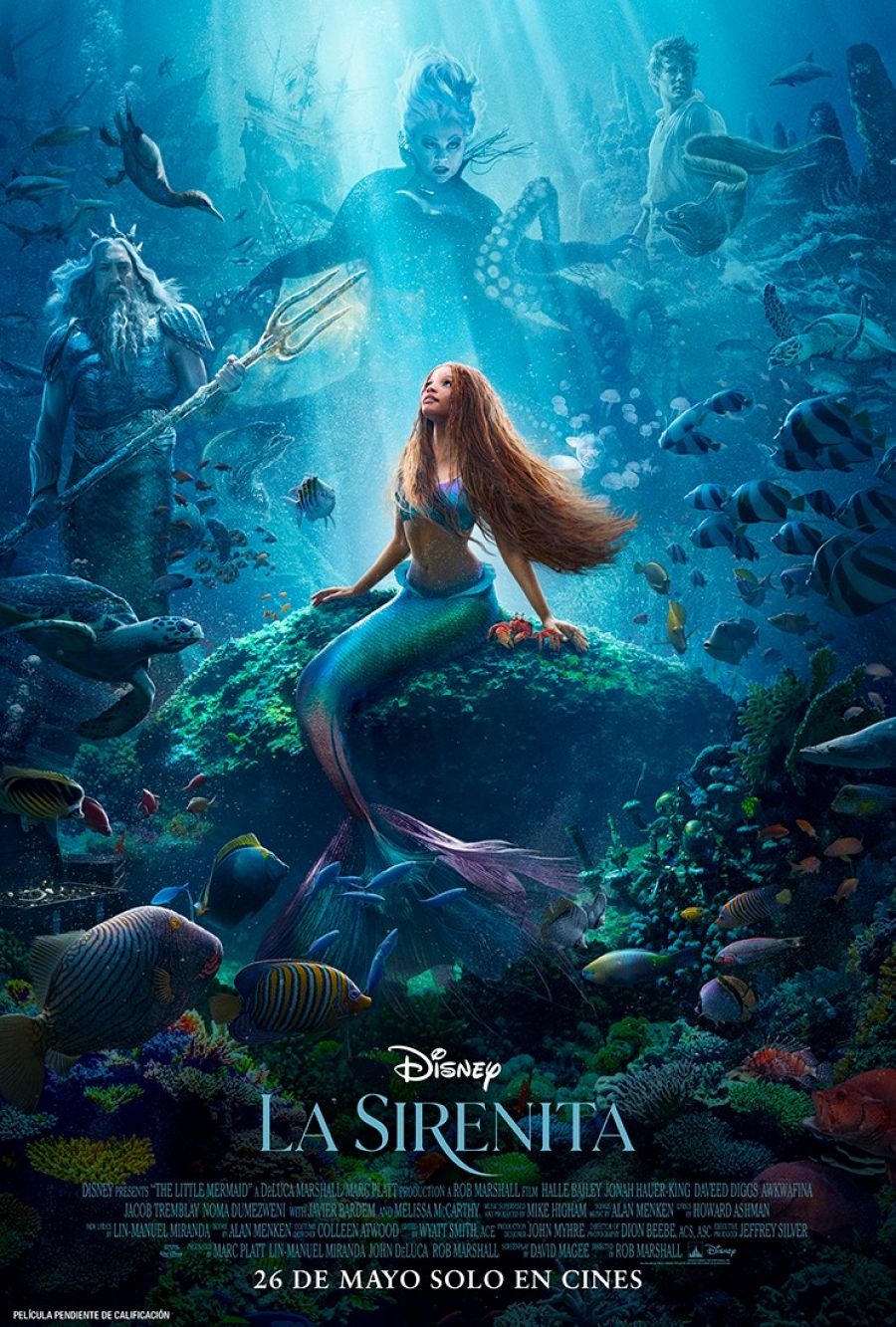 La Sirena - un Clásico Disney - Mermaids Tail