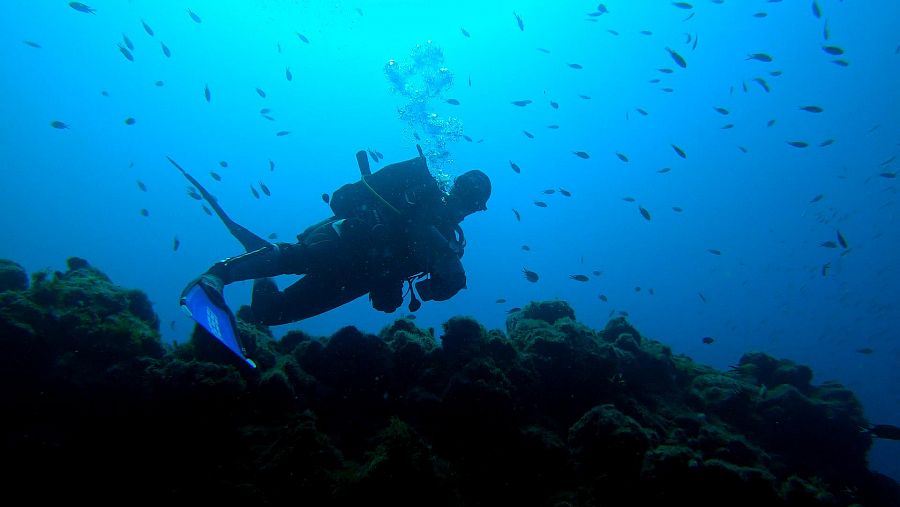 Juanjo Pardo buceando en Lanzarote