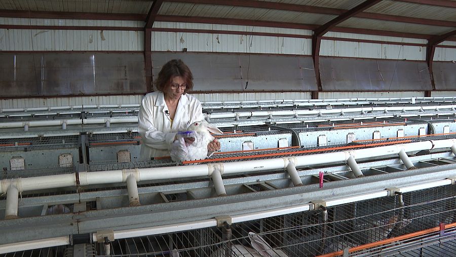 M. Jesús Marín en su granja cunícola
