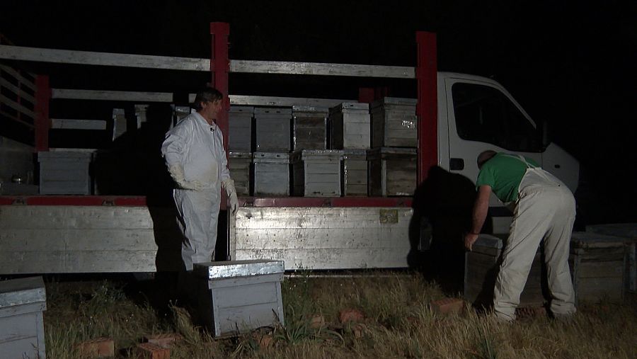 Tomás y Urbano en plena trashumancia de las abejas