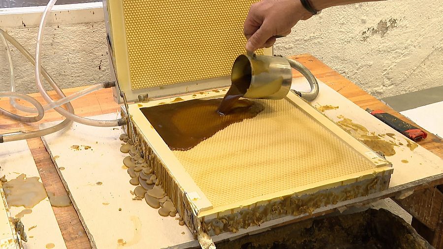 Fabricación artesanal de panales de cera de abeja virgen