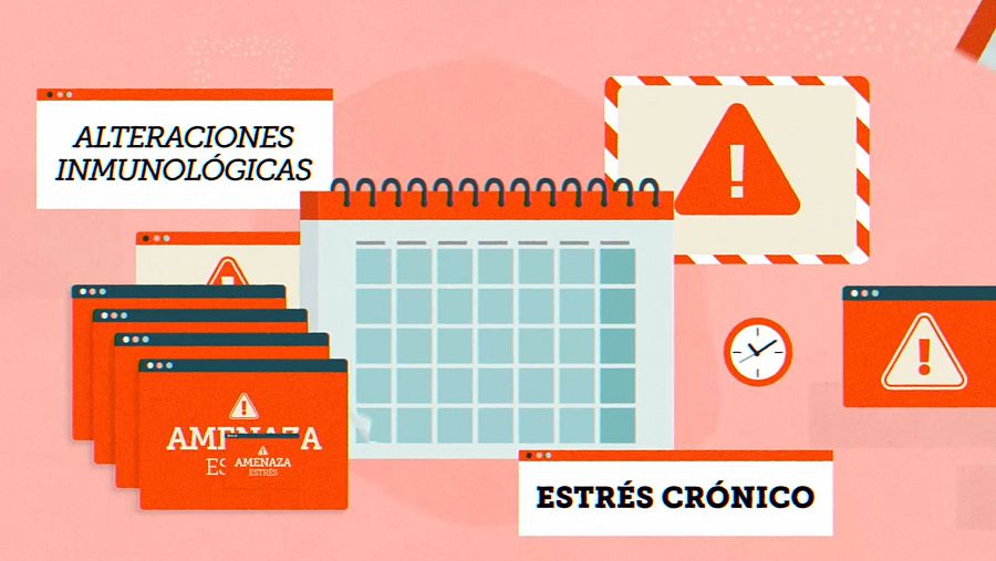 Motion explicativo sobre la inflamación crónica, con un calendario en el centro, un cartel de 