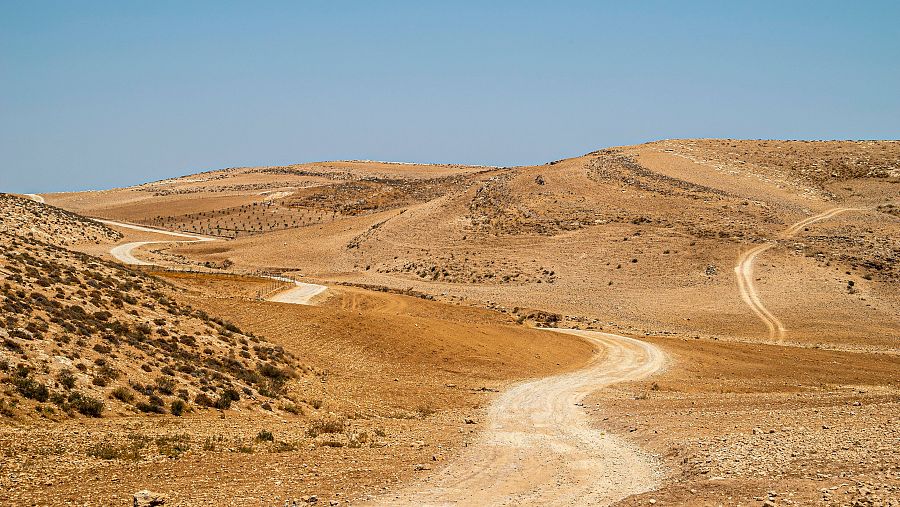 Desierto de Palestina.