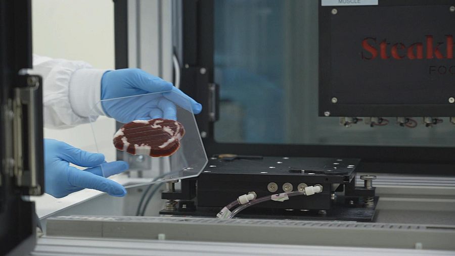 Impresora de carne 3D