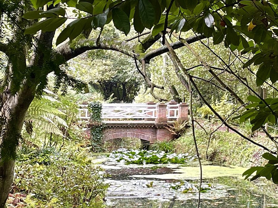 Uno de los puentes del Jardín de la Isla del Botánico Atlántico de Gijón