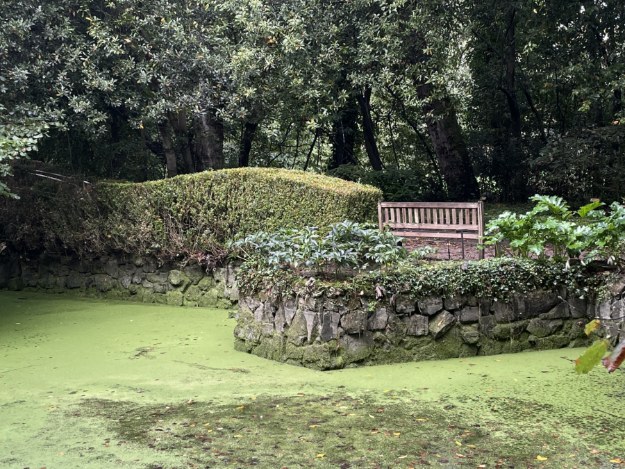 El estanque de baños de La isla, donde disfrutaban los Valdes y sus invitados, antes de que se pusiera de moda la playa