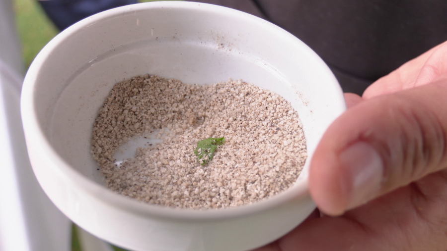 Hacer una mezcla de sal y pimienta