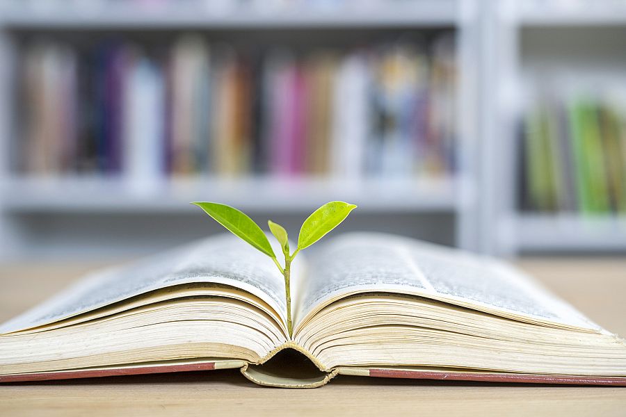 World philosophy day education concept with tree of knowledge planting on opening old big book in library with textbook, stack piles of text archive and aisle of bookshelves in school study class room