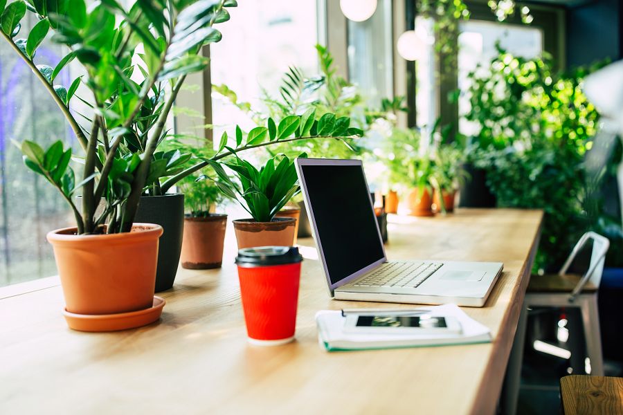Side view photo of Digital laptop, smartphone and cup of coffee on wooden table in cafe or office