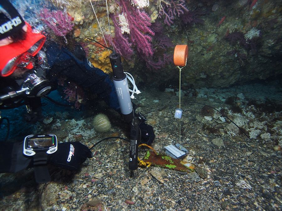 Un submarinista revisa la 'Estación centinela' que monitorea el hábitat del Mediterráneo