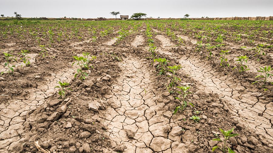 Terreno totalmente desertificado