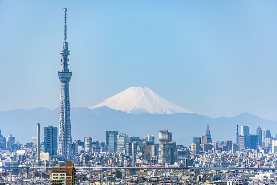 Mt Fuji & Tokyo Sky Tree