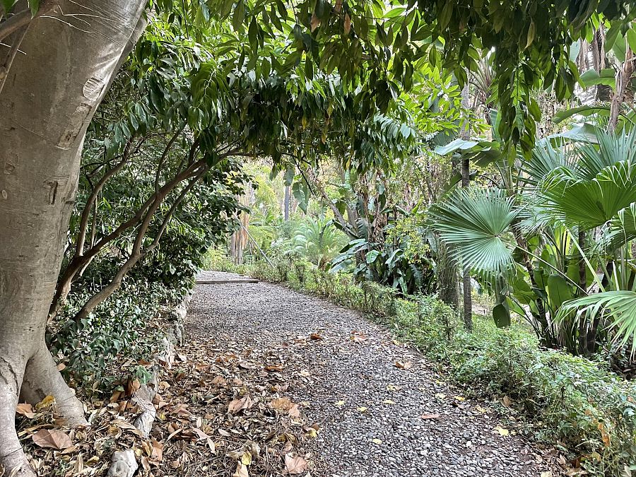 Los agradables paseos que podemos dar por la finca Nadales de Málaga nos llevaran por caminos de gravilla, entre árboles de gran porte