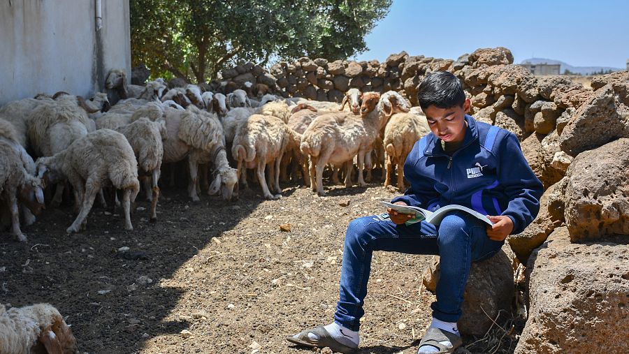 Ahmad, preparándose para sus exámenes finales mientras pastorea ovejas en el pueblo de Qseibeh, al sur de Siria