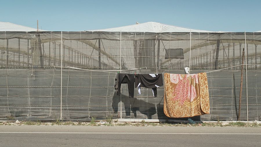 Imagen del reportaje