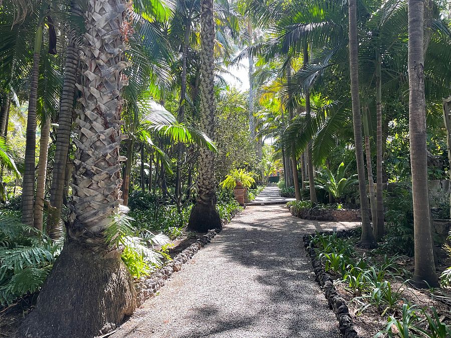 Los caminos con todo tipo de especies de palmeras recorren el jardín, generando zonas de sombras