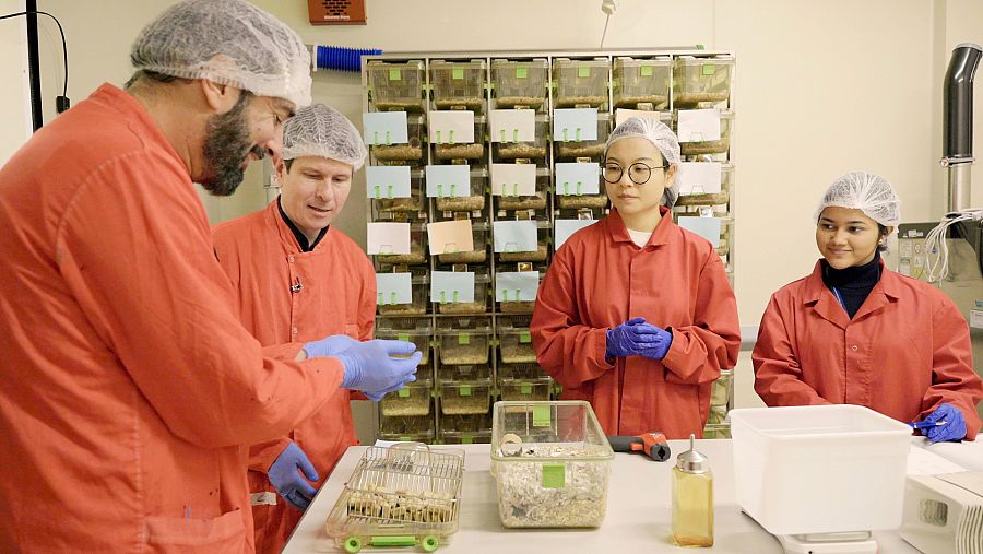 Vladyslav Vyazovskiy y Pere Estupinyà en el Laboratorio de hibernación