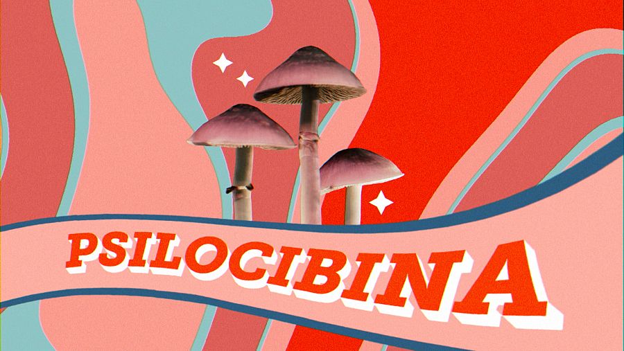 frame psilocibina El Cazador de Cerebros