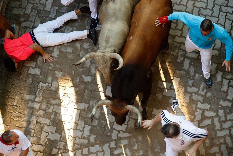 Los toros de la ganadería de Fuente Ymbro entran al callejón de la plaza de toros de Pamplona durante el cuarto encierro de los sanfermines.