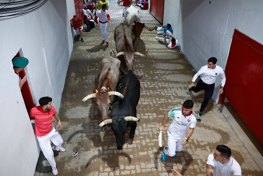 Los toros de la ganadería de Núñez del Cuvillo entran en el callejón durante el quinto encierro de los sanfermines 2023