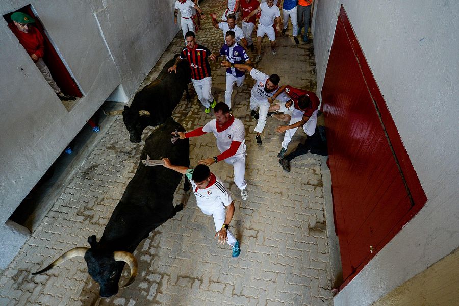 Entrada de los mozos en el callejón de la plaza de toros de Pamplona en el octavo encierro de los sanfermines 2023