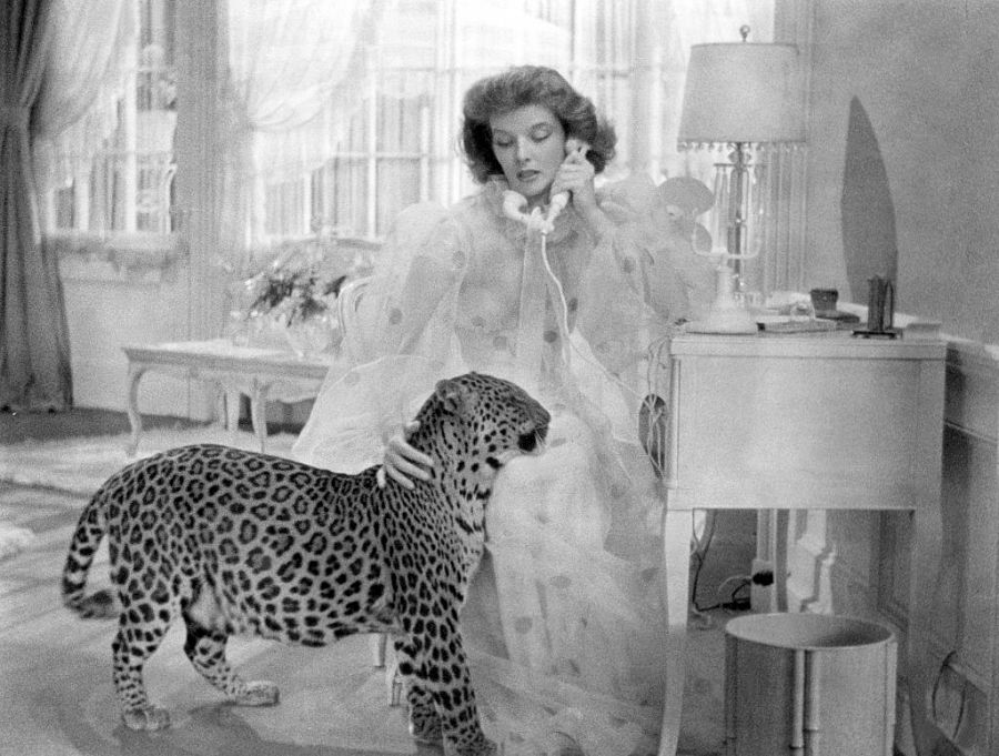 Katharine Hepburn y Baby en 'La fiera de mi niña'