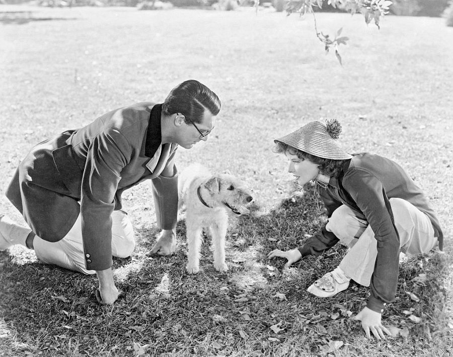 Cary Grant y Katharine Hepburn en 'La fiera de mi niña'