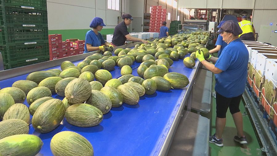 Cooperativa Santiago Apóstol de Tomelloso