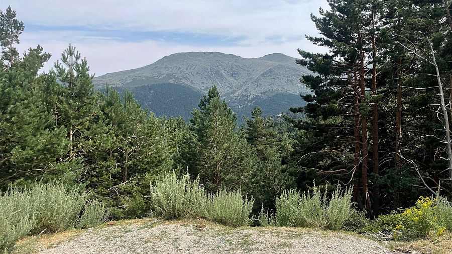 Vistas de los picos Cabezas de Hierro