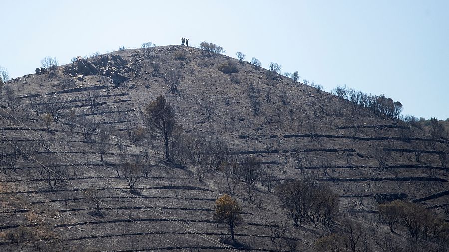 Zona afectada por el incendio en Portbou, Girona