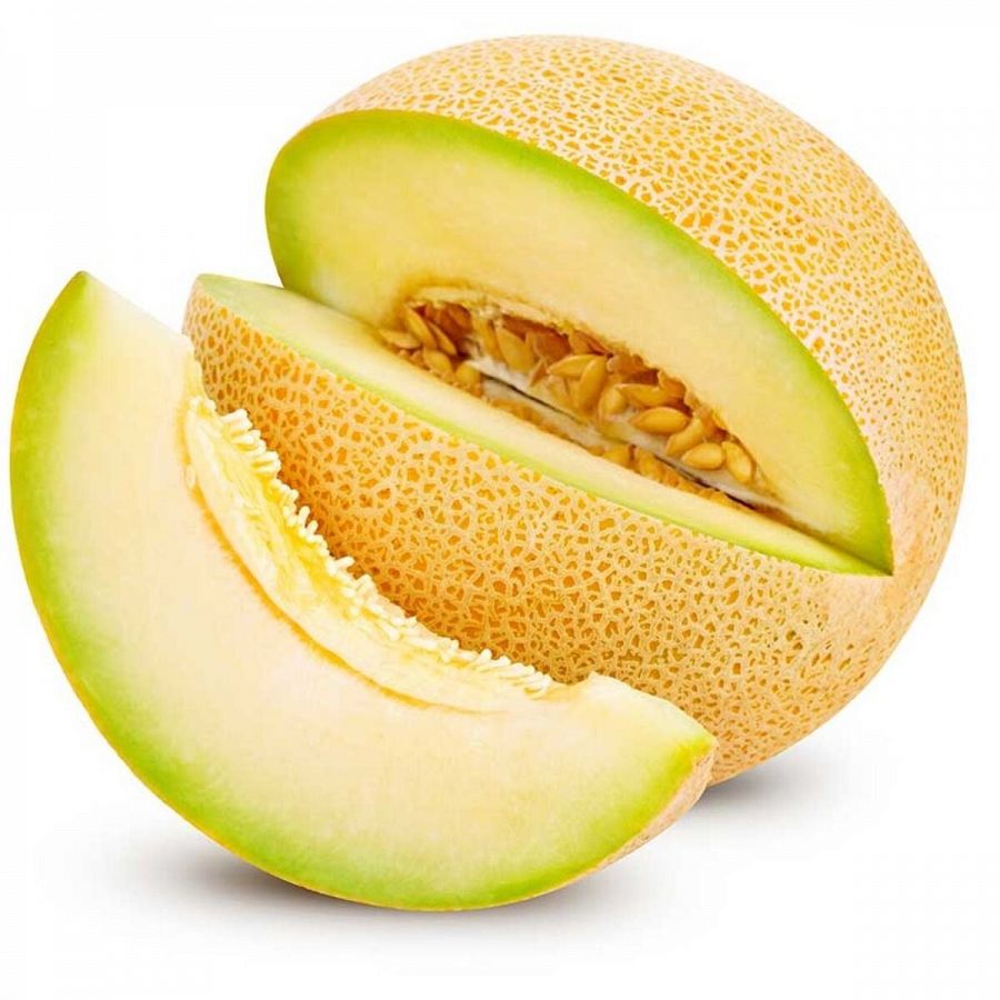 Melón Galia