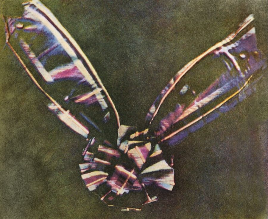 Tartan Ribbon, la primera foto en color