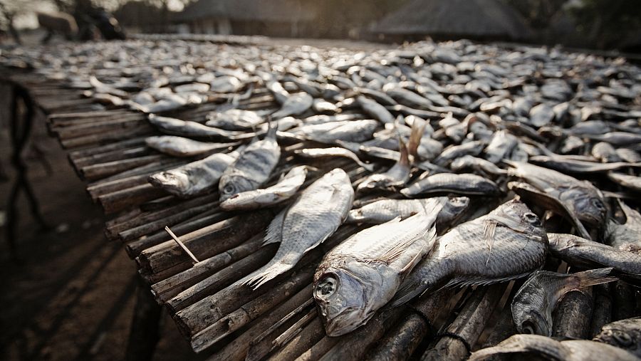 Pescado en un mercado local de Monkey Bay, en el Lago Malawi