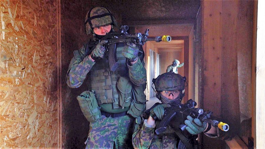 Reservistas finlandeses