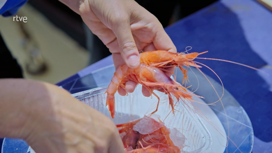 Sílvia Abril amb gambes de Palamós mentre cuina un pollastre amb gambes a 'La Recepta Perduda'