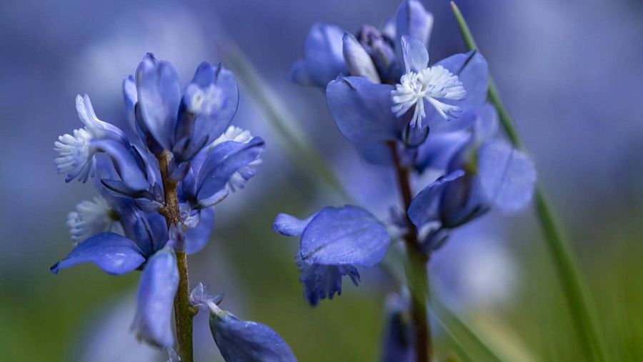 Fotografia de Francesc Muntada Sagrado