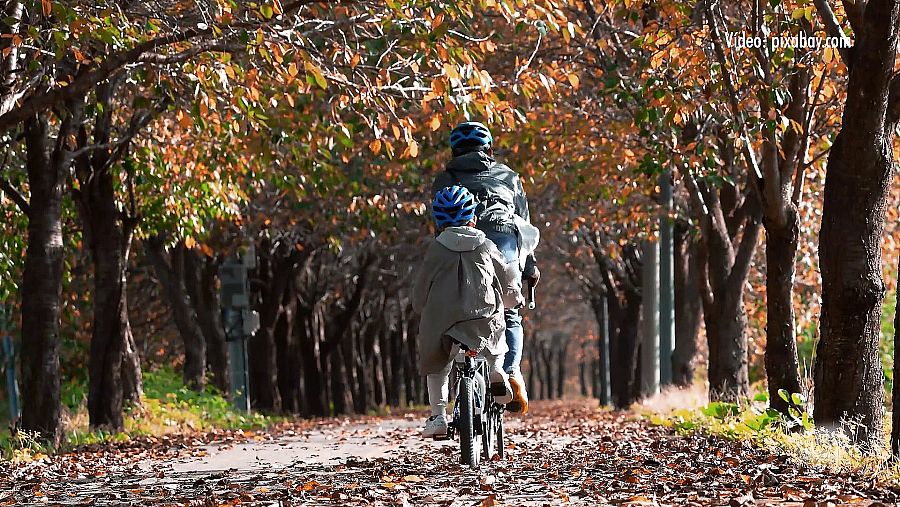 Familia montando en bici por el campo