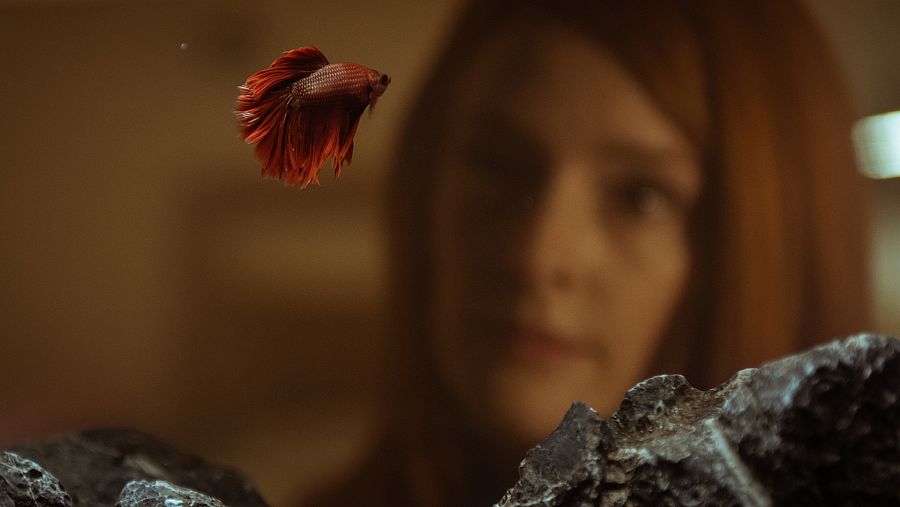 Mara (Ana Polvorosa) observa a su pez betta, también conocido como el luchador de Siam