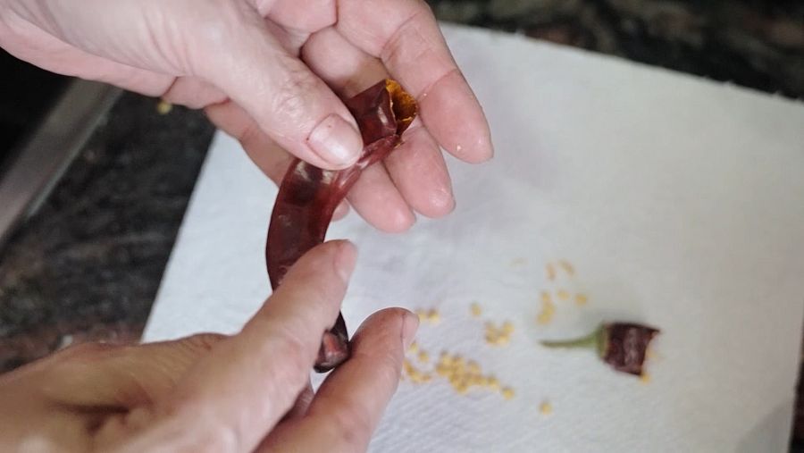 Imatge d'un bitxo querolet per una cassola de tros a 'La Recepta Perduda' amb Sílvia Abril