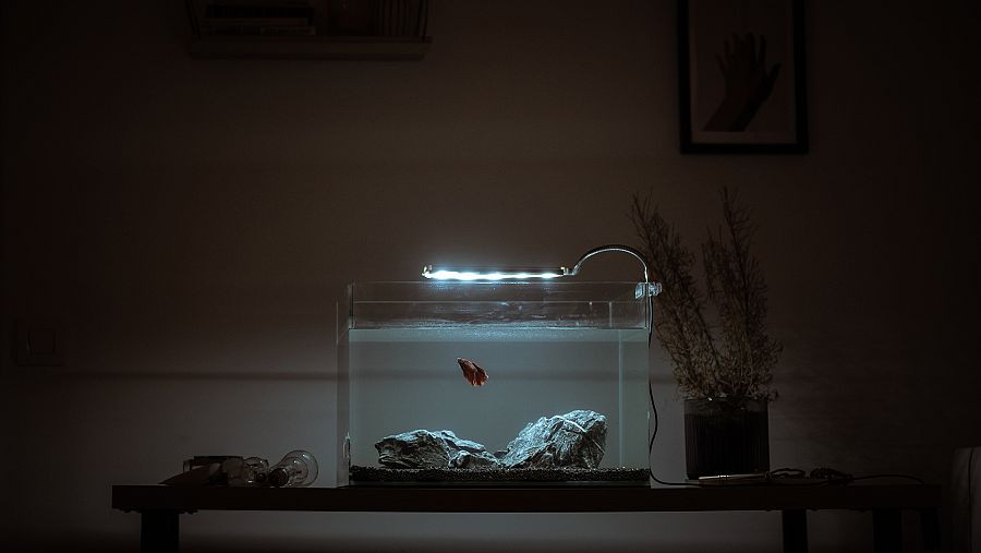 El cortometraje [Mara] está protagonizado por Ana Polvorosa