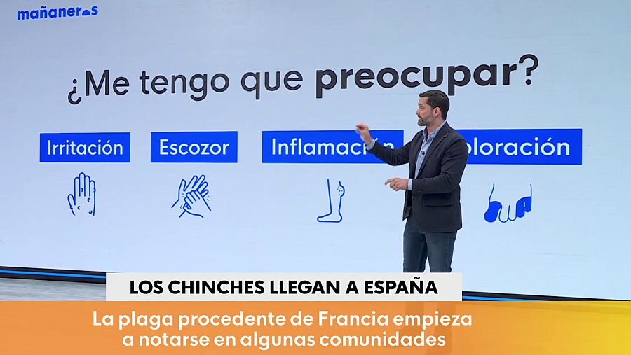 Síntomas de la picadura de chinche