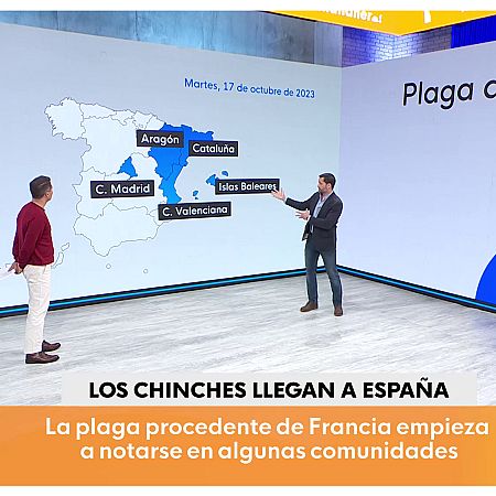 Chinches en España
