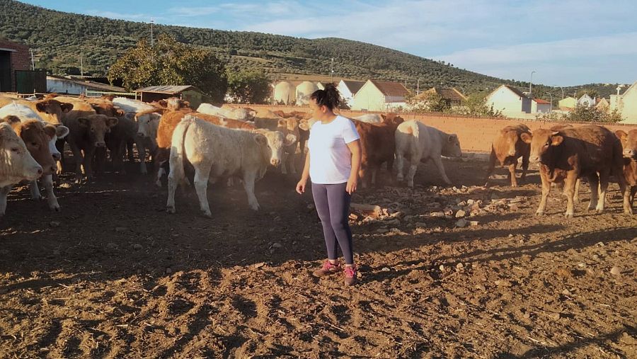 Mónica Castellanos, una ganadera de la localidad toeldana de Navahermosa, trabajando en su explotación ganadera