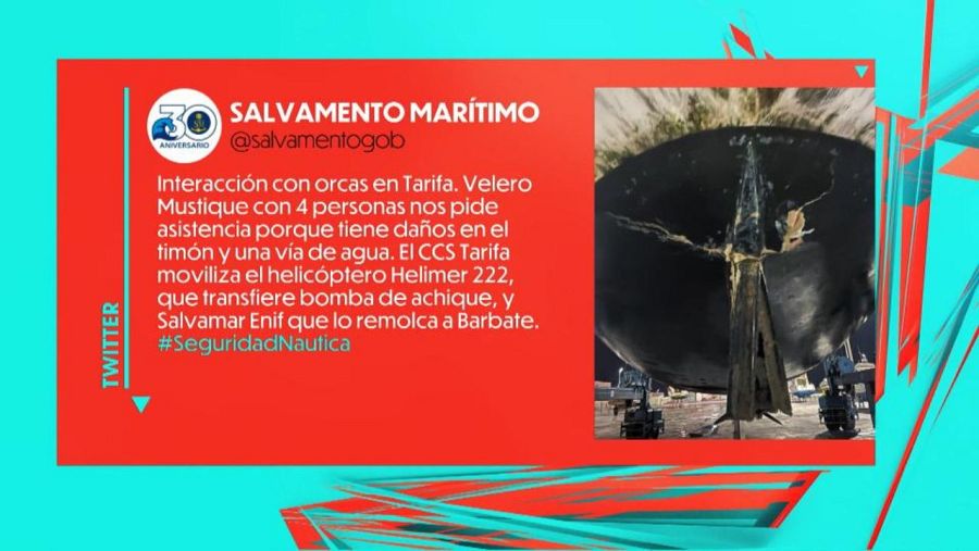 Ha habido varios incidentes de orcas con algunas embarcaciones